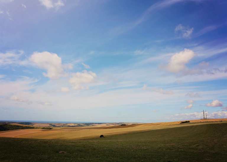 ALYMPHOTOGRAPHY_SOUTHDOWNS_13